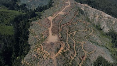 Coeva del Biobío aprueba proyecto minero de tierras raras en Penco
