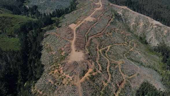 Coeva del Biobío aprueba proyecto minero de tierras raras en Penco