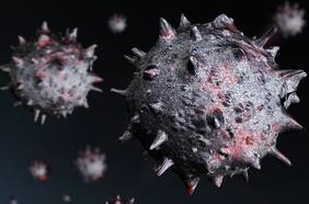 Siete meses de pandemia en Chile: más conocimiento del virus y mejor manejo hospitalario alejan riesgo de intubación