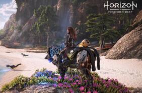 Reportes apuntan a que el MMO de Horizon ya podría estar en desarrollo