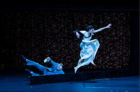 Esplendor en la fragilidad