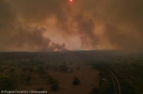 Sin afectar meta fiscal: Corte Suprema de Brasil aprueba gasto para enfrentar sequía e incendios forestales