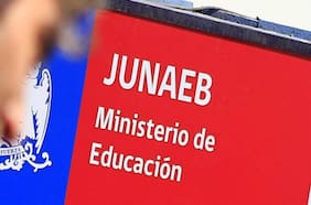 Acompañar para que el aprendizaje florezca