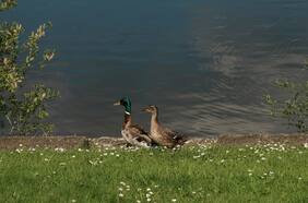 Panorama desolador: revelan qué pasará con los lagos de la Tierra a fines de este siglo