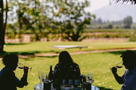 El impacto negativo para las viñas chilenas de los cambios en el consumo mundial de alcohol