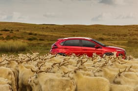 5 de los 10 SUVs más vendidos este 2025 en Chile, se fabrican en China ¿Quieres saber cuáles?