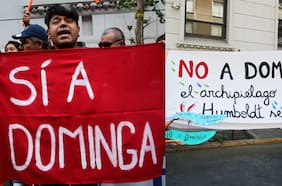 Andes Iron escala conflicto por Dominga y recurre a Corte Suprema con recurso de queja