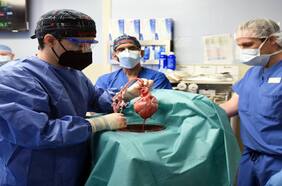 Así fue el exitoso trasplante de corazón de un cerdo a un hombre