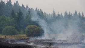 Alemania ordena evacuar parcialmente zona fronteriza con Bélgica por gran incendio que ha destruido 3 mil hectáreas