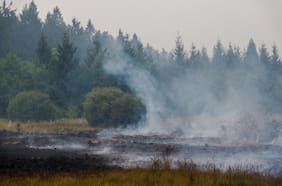 Alemania ordena evacuar parcialmente zona fronteriza con Bélgica por gran incendio que ha destruido 3 mil hectáreas