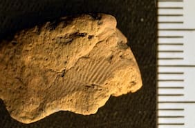 Descubren una milenaria huella dactilar en una cerámica neolítica