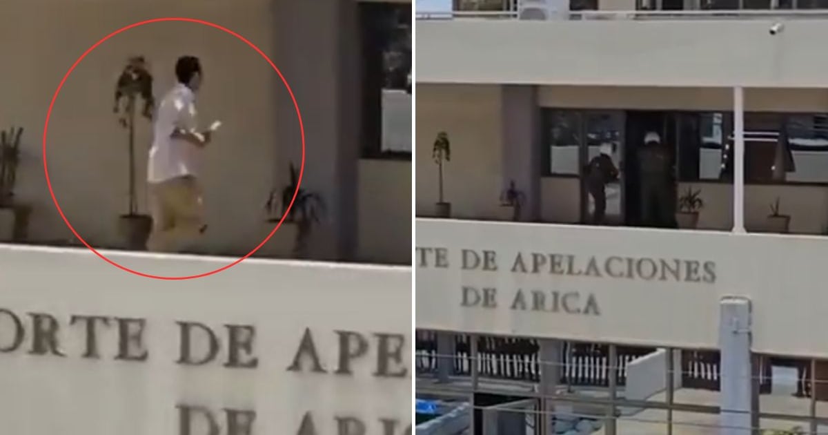 Muerte y trauma en la Corte de Arica: un ataque que desnudó fallas y tensiones