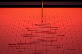 SHOA descarta riesgo de tsunami por sismo de magnitud 6,7 en Nueva Zelanda