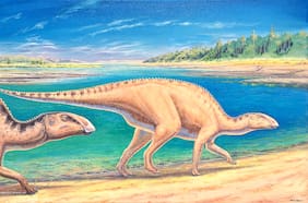 Science publica hallazgo de científicos chilenos de raro dinosaurio que reescribe historia de estos animales
