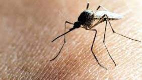 Fiebre amarilla y sarampión: las alertas sanitarias que marcan los viajes en vacaciones de verano