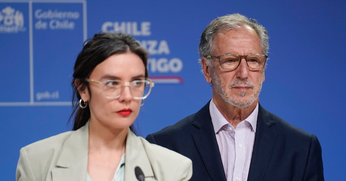 El mea culpa del gobierno tras salida de Pardow: renuncia timonel de CNE y anuncian auditorías
