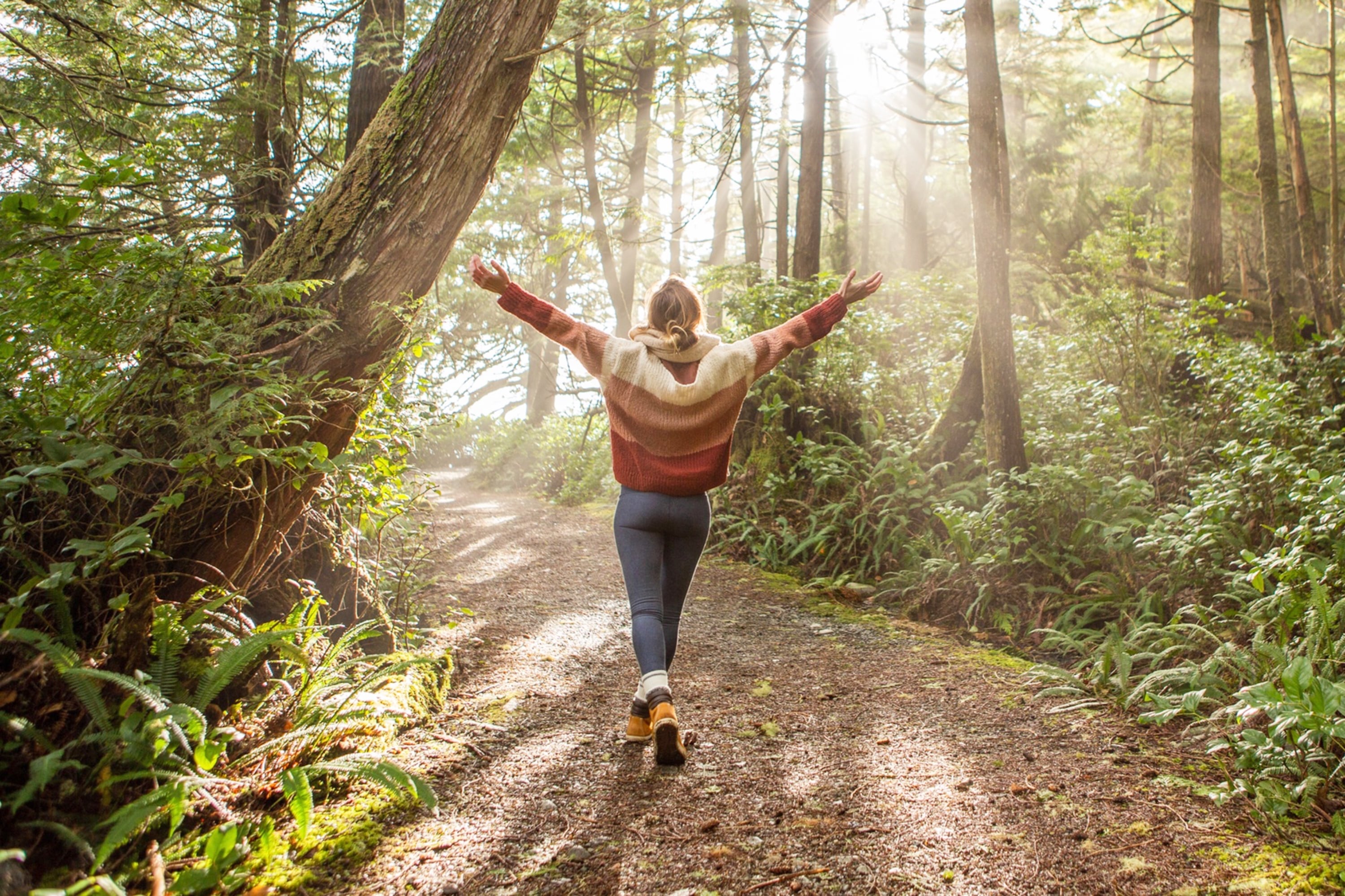 Por qué estar en la naturaleza nos hace sentir bien, según un reciente estudio