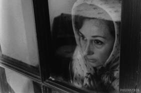 Festival de Valdivia llega a todo Chile con filmes de Raúl Ruiz, Cristián Sánchez y Dominga Sotomayor