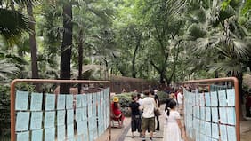 Sin Tinder ni aplicaciones: así se busca pareja (y matrimonio) en los parques de China