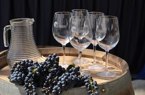 Por qué deberías ir a la Fiesta de la Vendimia de Marchigüe