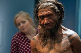 ¿Qué tan distinto era el sentido del olfato de los neandertales al nuestro?