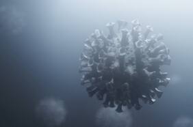 Ómicron puede ser un híbrido: podría haber contraído una parte del virus del resfriado común según un estudio