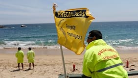 Seremi de Salud de Valparaíso prohíbe el baño en playas de Algarrobo, El Quisco y Concón por fragata portuguesa