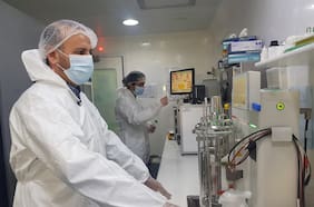 Veterinario crea la primera vacuna del mundo capaz de esterilizar perros sin castrarlos y que es revertible