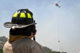 Decretan alerta roja en Chillán Viejo por incendio forestal cercano a viviendas