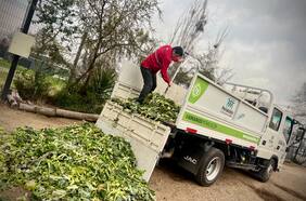 Gobierno presenta proyecto de ley de reciclaje de residuos orgánicos para disminuir la basura