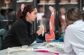 Asignaturas aprobadas: ¿Dónde están los estudiantes más responsables?