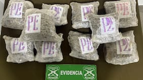 Carabineros detiene a tres sujetos con más de 10 kilos de marihuana en San Bernardo