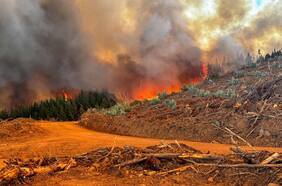 Continúa alerta roja por incendio forestal en Cauquenes: llamas han consumido 1200 hectáreas
