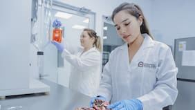 El ranking de las universidades más destacadas en sostenibilidad en Chile