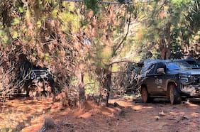 Con ayuda de nuevo dron: Carabineros recupera camioneta robada a trabajadores en Temucuicui