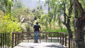 Guía del ocio: panoramas escogidos para el fin de semana del 27 y 28 de diciembre