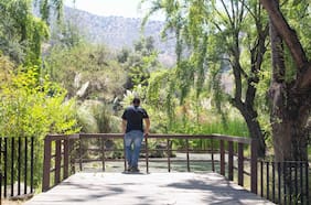 Guía del ocio: panoramas escogidos para el fin de semana del 27 y 28 de diciembre