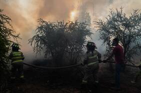 Ordenan evacuación de cuatro sectores de Padre Hurtado por incendio forestal