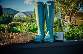 Viña Casas del Bosque: frescura y calidad desde Casablanca