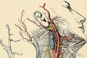 Un ilustrador explica cómo se fabrican las fantásticas imágenes que durante siglos han formado médicos