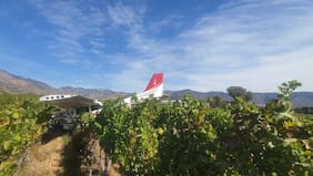 Avioneta accidentada en Lolol deja dos lesionados en Viña Santa Cruz