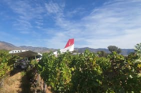 Avioneta accidentada en Lolol deja dos lesionados en Viña Santa Cruz