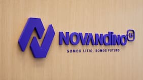 El registro de la marca “Novandino Litio” sufre inconvenientes en el Inapi