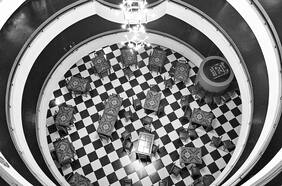 Hallazgos de caracol