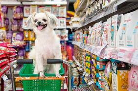 Alimentos para mascotas: ¿sabes leer correctamente el etiquetado de lo que come tu animal?