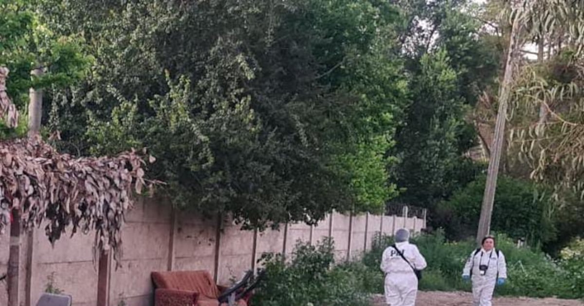 PDI detiene en flagrancia a autor de homicidio ocurrido en Limache