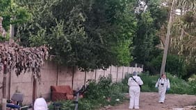 PDI detiene en flagrancia a autor de homicidio ocurrido en Limache