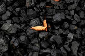 Las centrales eléctricas de Estados Unidos están bajas en carbón