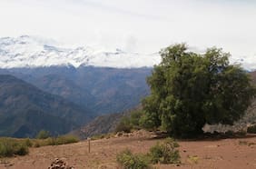 El daño no termina cuando se apaga el fuego