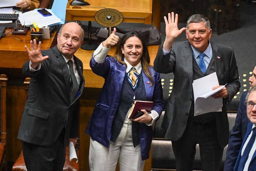 Senado aprueba idea de legislar de megaproyecto con los votos justos y Araya (PPD) se abstiene en señal de apertura